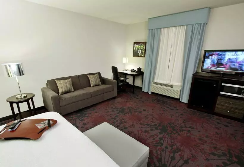 Otel Hampton Inn & Suites Winnie