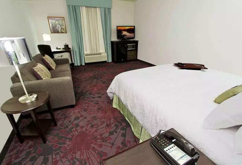 Otel Hampton Inn & Suites Winnie