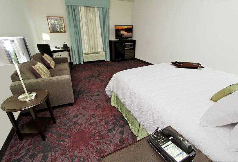 בית מלון כפרי Hampton Inn & Suites Winnie