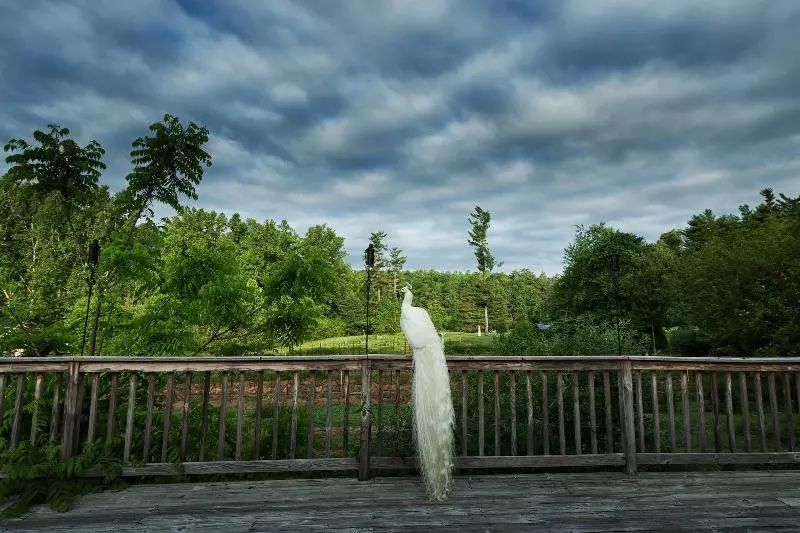 Отель Highland Lake Inn & Resort  Flat Rock