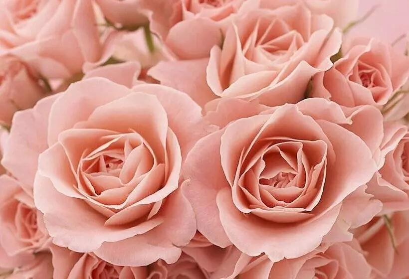 Hotelli Nichols Inn Of Red Wing