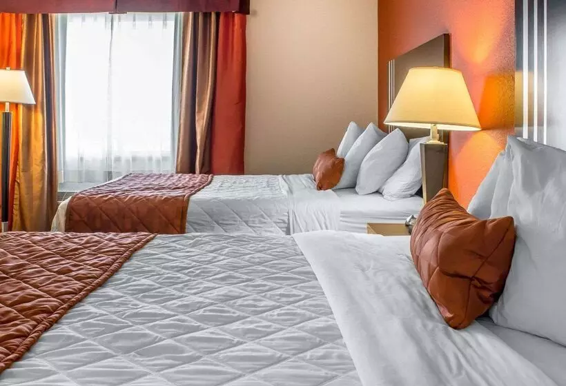 酒店 Rodeway Inn Milford