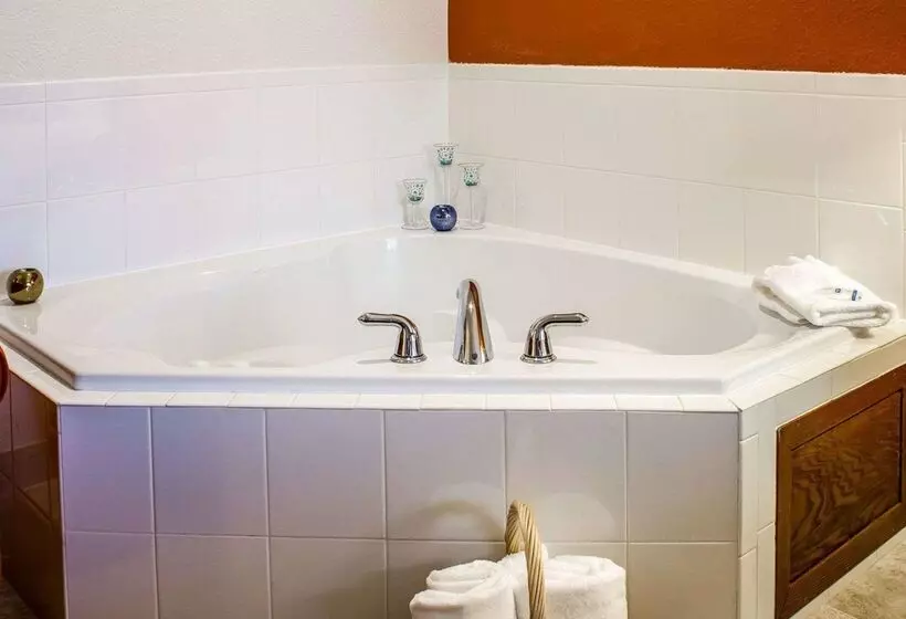 酒店 Rodeway Inn Milford