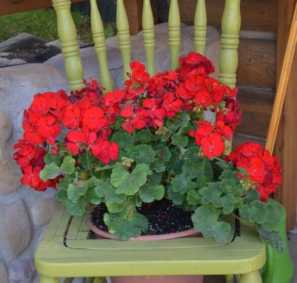 호텔 Sitzmark Chalet Inn