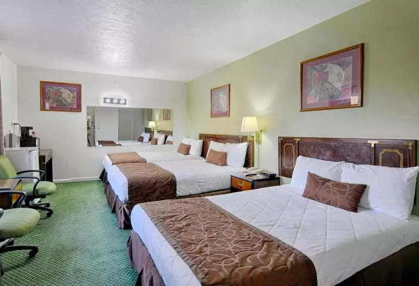 Palms Motel