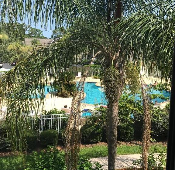 Ocean Walk By Hodnett Cooper