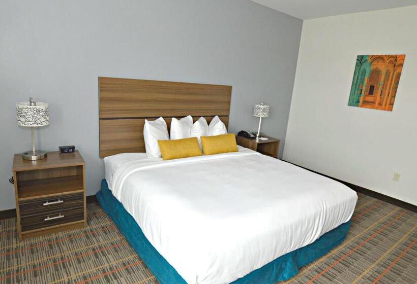 酒店 Best Western Ingleside Inn & Suites