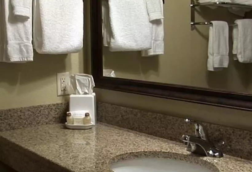 酒店 Evansville Inn & Suites By Oyo