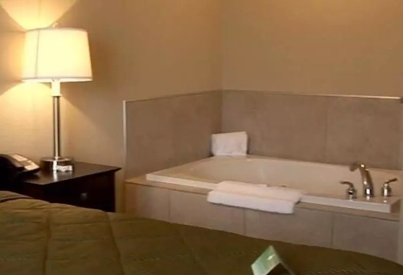 酒店 Evansville Inn & Suites By Oyo