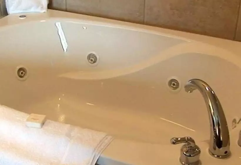 酒店 Evansville Inn & Suites By Oyo