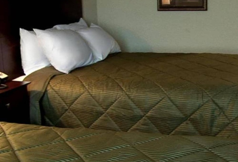 ホテル Evansville Inn & Suites By Oyo