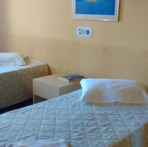 酒店 Brasao Palace