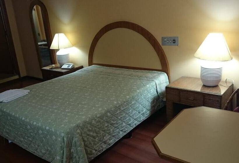 酒店 Brasao Palace