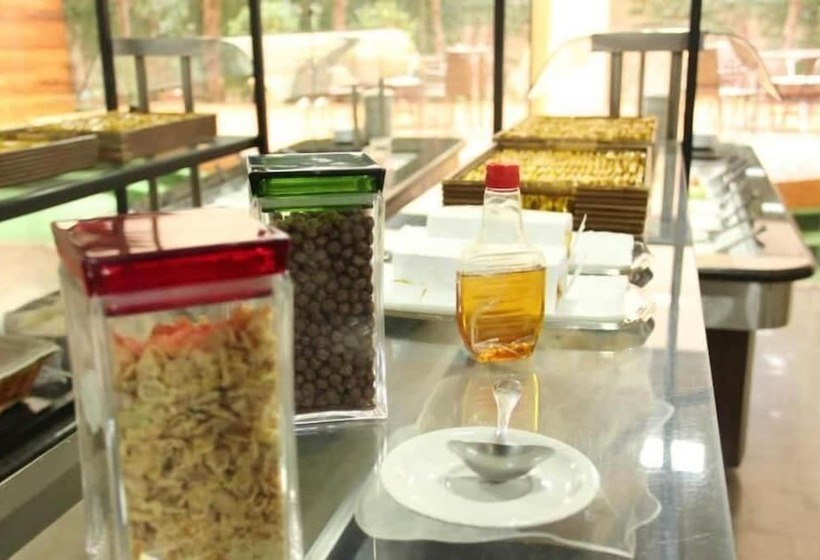 酒店 Brasao Palace