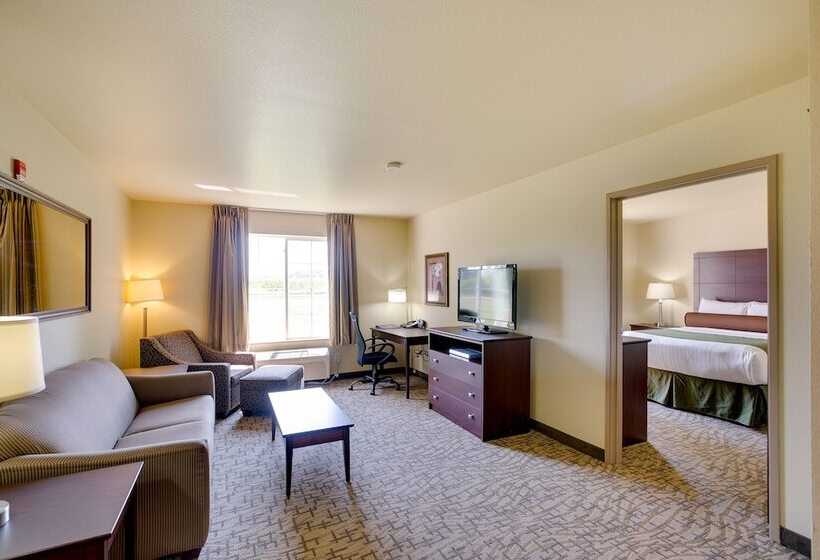 Отель Cobblestone Inn & Suites  Clintonville