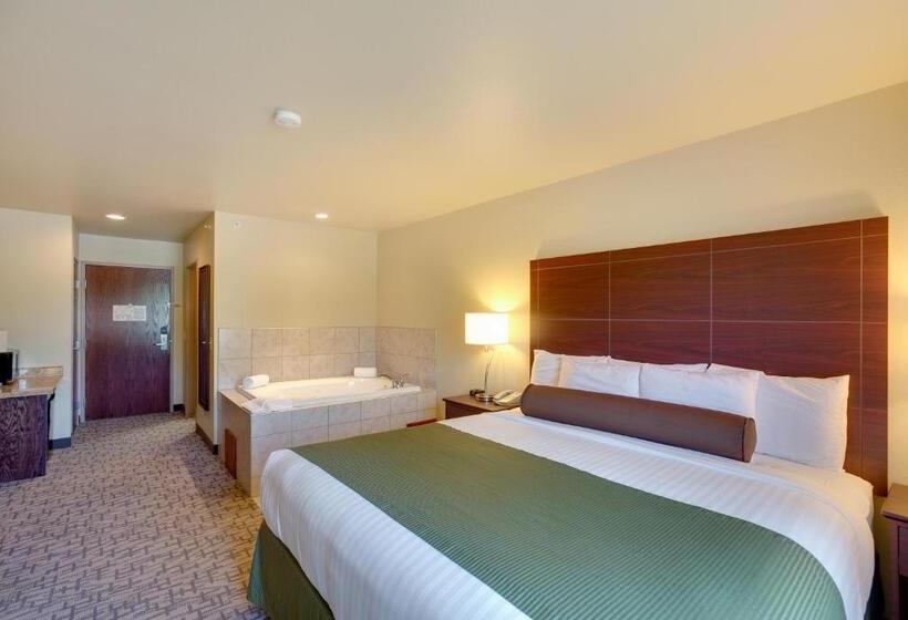 Отель Cobblestone Inn & Suites  Clintonville