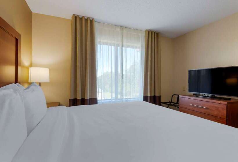 Отель Comfort Inn & Suites Cambridge
