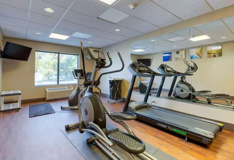 酒店 Comfort Inn & Suites Cambridge