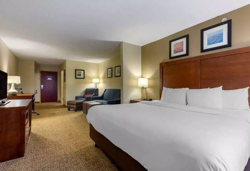 酒店 Comfort Inn & Suites Cambridge