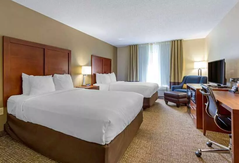 酒店 Comfort Inn & Suites Cambridge