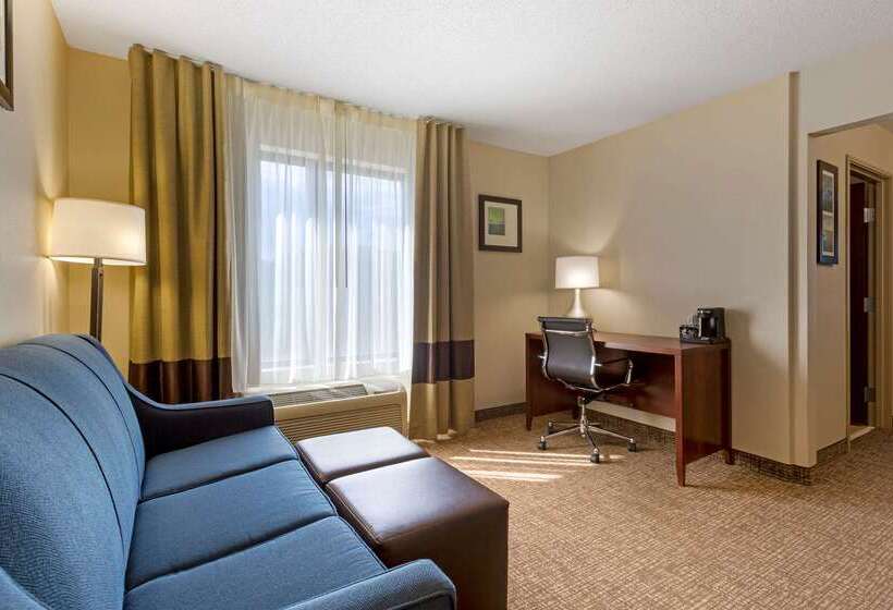 Отель Comfort Inn & Suites Cambridge