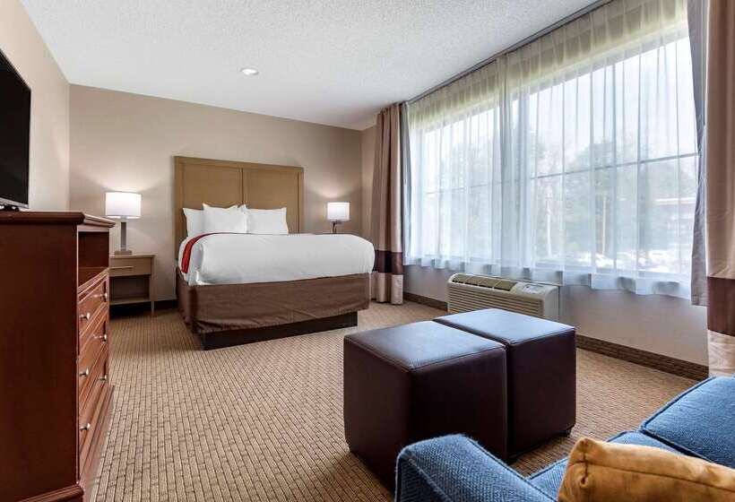 酒店 Comfort Inn & Suites Farmington  Victor