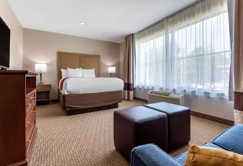 ホテル Comfort Inn & Suites Farmington  Victor