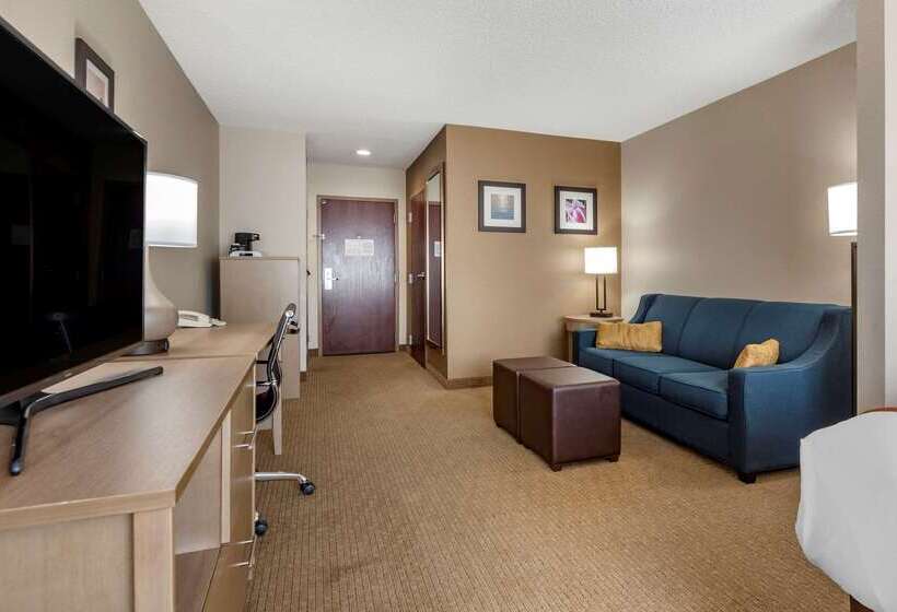 酒店 Comfort Inn & Suites Farmington  Victor