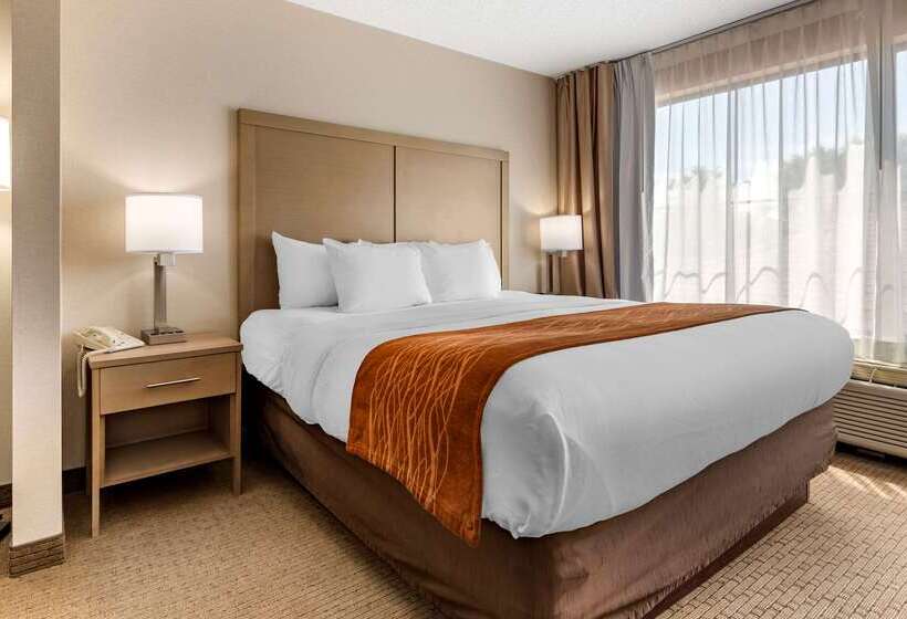 酒店 Comfort Inn & Suites Farmington  Victor