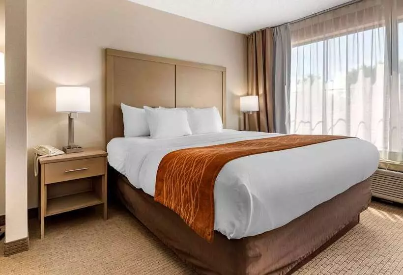 ホテル Comfort Inn & Suites Farmington  Victor