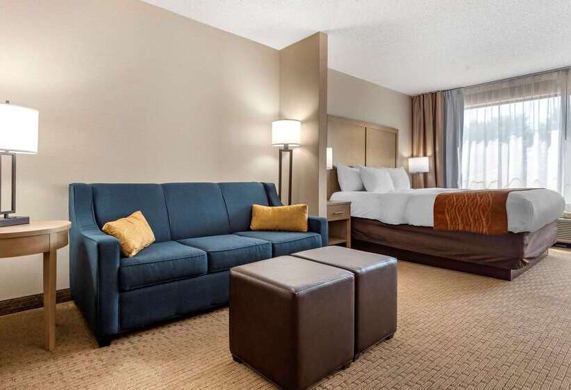 酒店 Comfort Inn & Suites Farmington  Victor