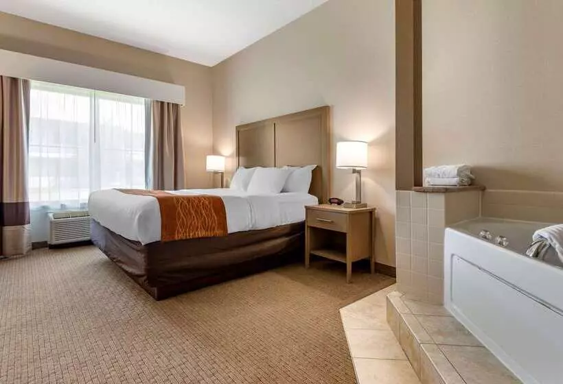 ホテル Comfort Inn & Suites Farmington  Victor