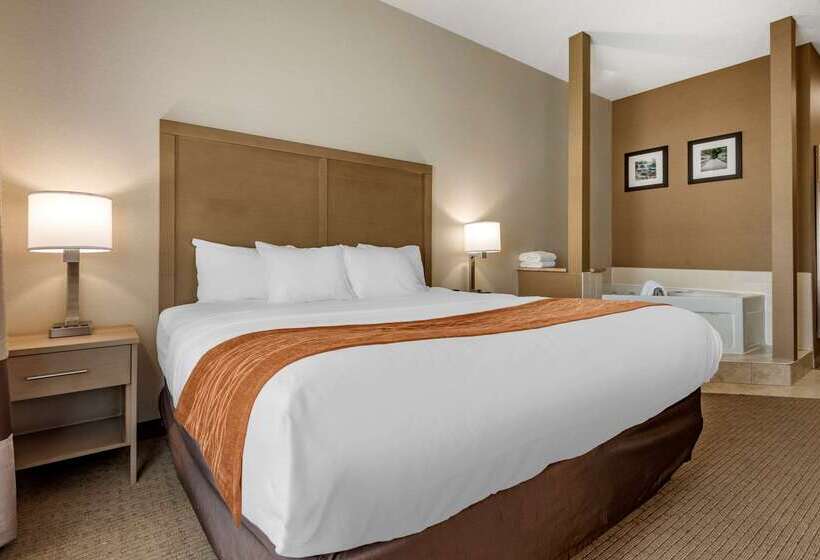 酒店 Comfort Inn & Suites Farmington  Victor