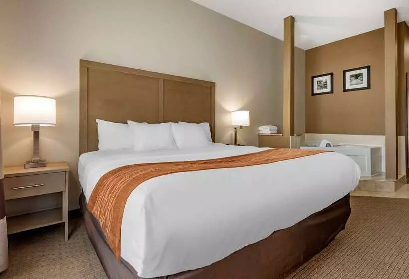 ホテル Comfort Inn & Suites Farmington  Victor