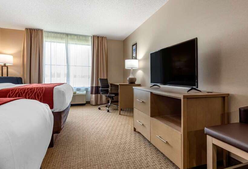酒店 Comfort Inn & Suites Farmington  Victor