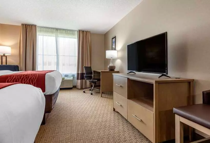 ホテル Comfort Inn & Suites Farmington  Victor