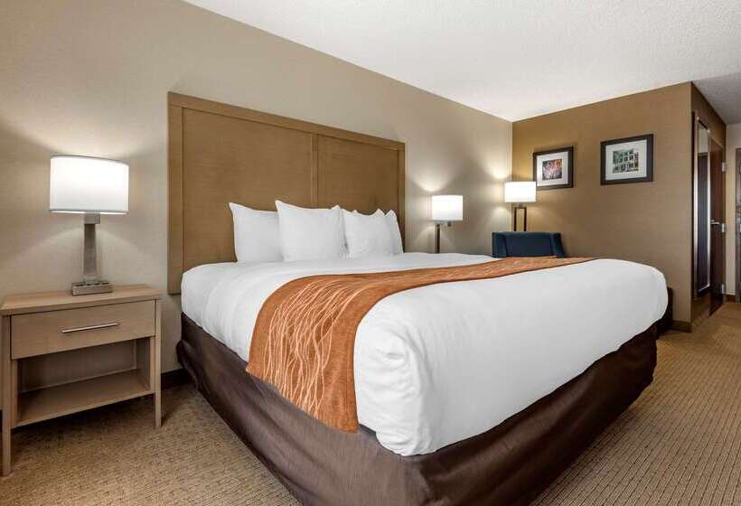 酒店 Comfort Inn & Suites Farmington  Victor