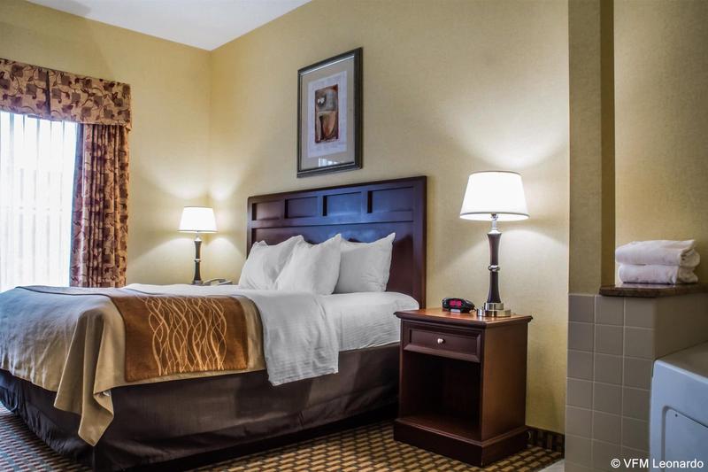 酒店 Comfort Inn & Suites Farmington  Victor