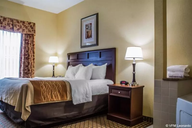 ホテル Comfort Inn & Suites Farmington  Victor