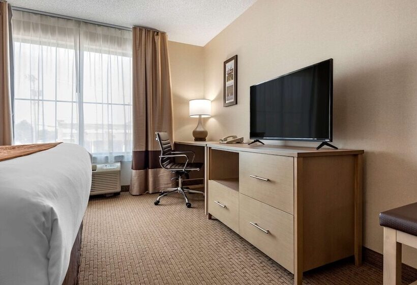 酒店 Comfort Inn & Suites Farmington  Victor