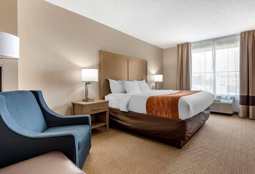 酒店 Comfort Inn & Suites Farmington  Victor