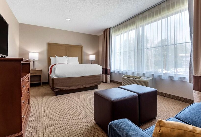 酒店 Comfort Inn & Suites Farmington  Victor