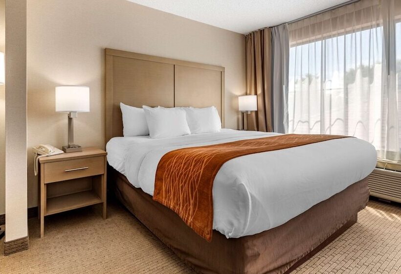 酒店 Comfort Inn & Suites Farmington  Victor