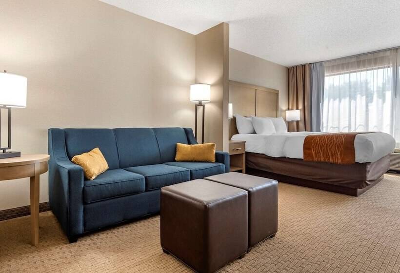酒店 Comfort Inn & Suites Farmington  Victor