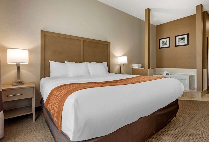 酒店 Comfort Inn & Suites Farmington  Victor