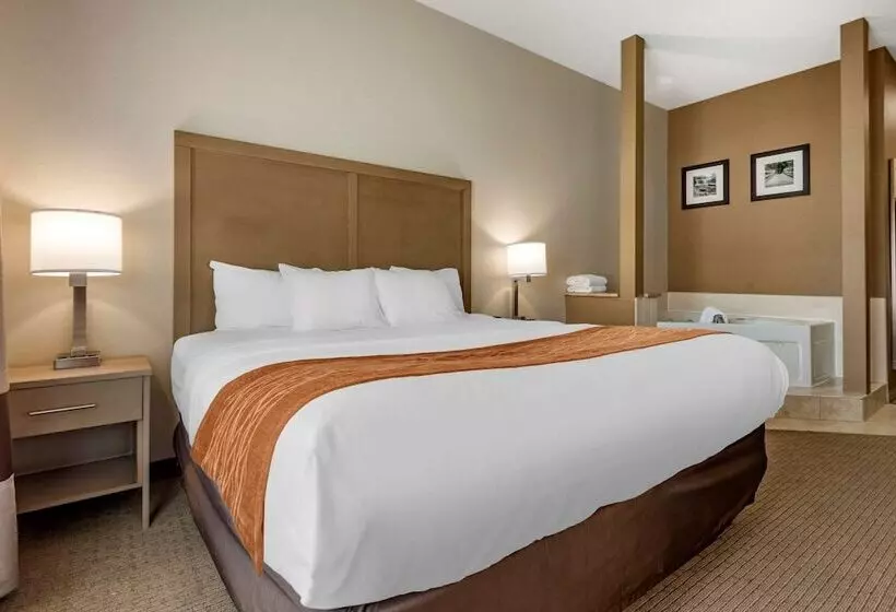 ホテル Comfort Inn & Suites Farmington  Victor