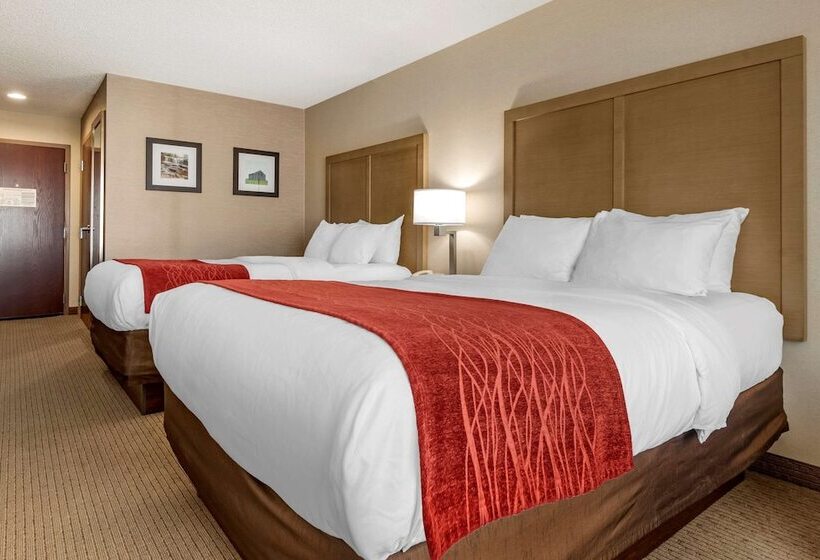 酒店 Comfort Inn & Suites Farmington  Victor