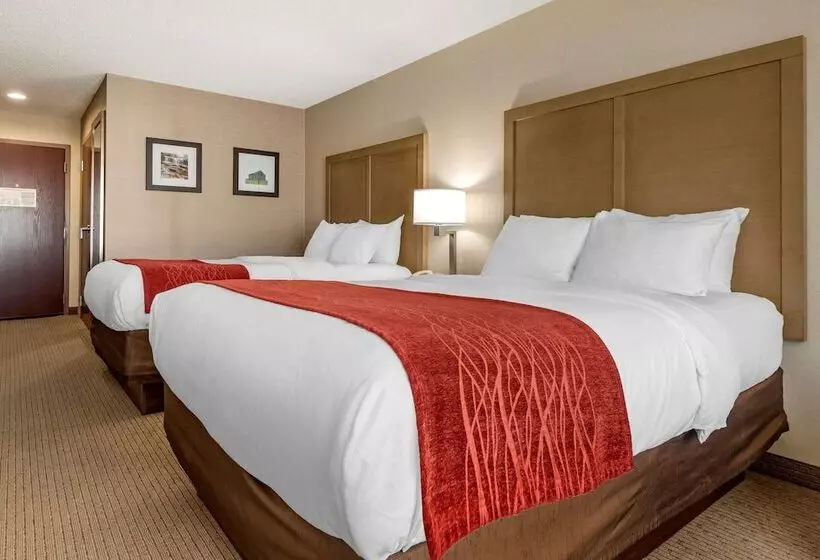 ホテル Comfort Inn & Suites Farmington  Victor