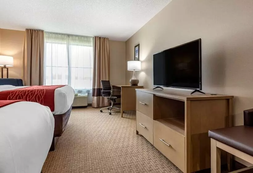 ホテル Comfort Inn & Suites Farmington  Victor