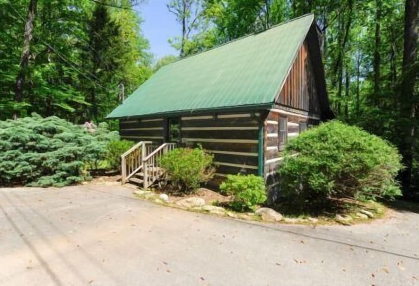 ホテル Dancing Bear Lodge